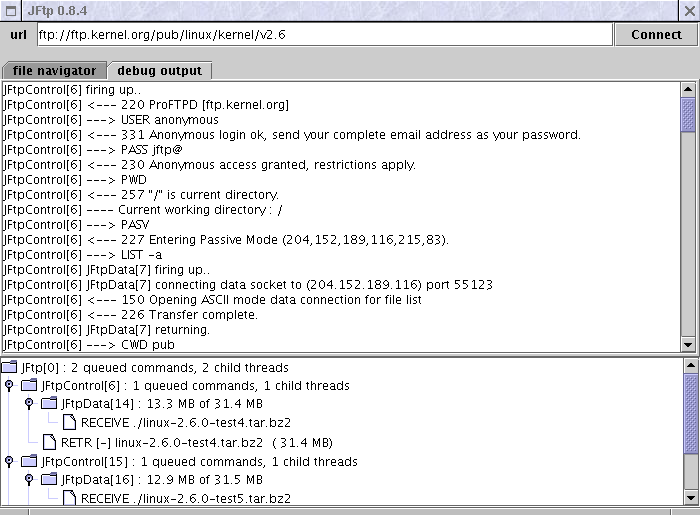 JFtp log viewer